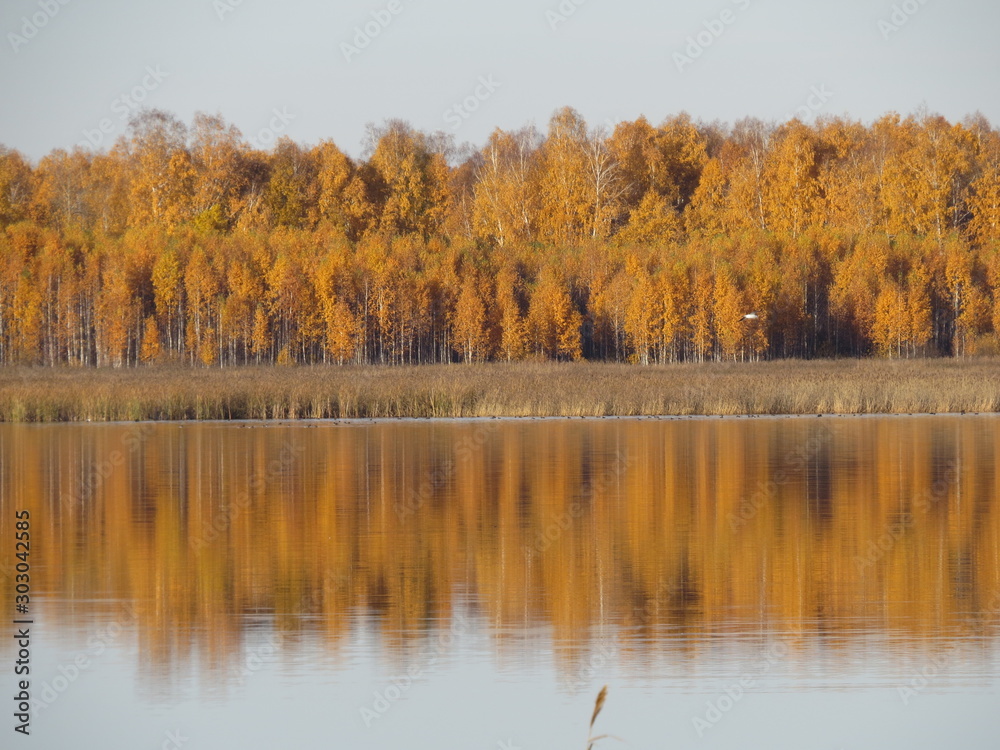 Obraz premium autumn