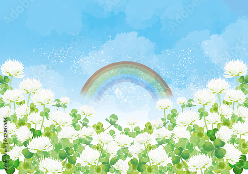 シロツメクサ：シロツメクサ　春　春の花　草原　自然　花　4月　群生　晴天　青空　満開