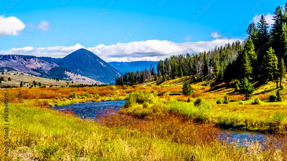 Obraz premium The Gallatin River as it runs through the western most part of Yellowstone National Park along Highway 191 in Montana, United States of America