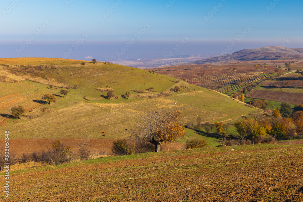 Fototapeta premium Plowed fields and meadows in the mountains