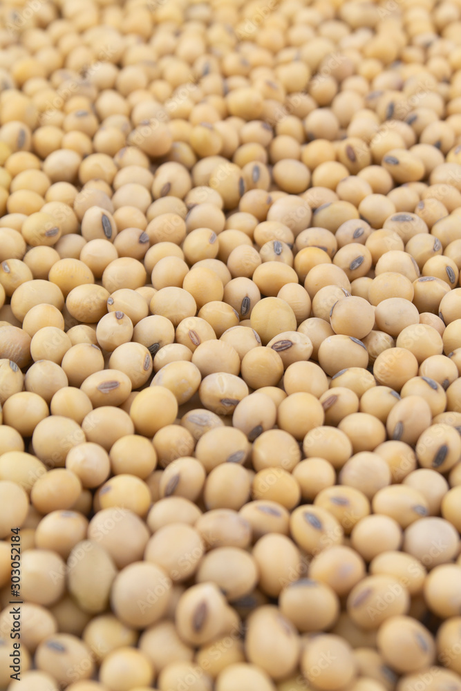 Soy beans close up Soy beans close up