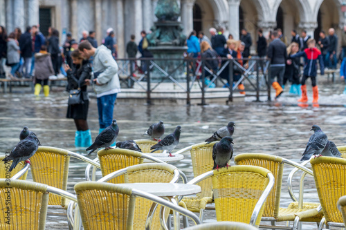 VENICE, ITALY - November 12, 2019: St. Marks Square (Piazza San Marco) during flood (acqua alta) in Venice, Italy. Venice high water.