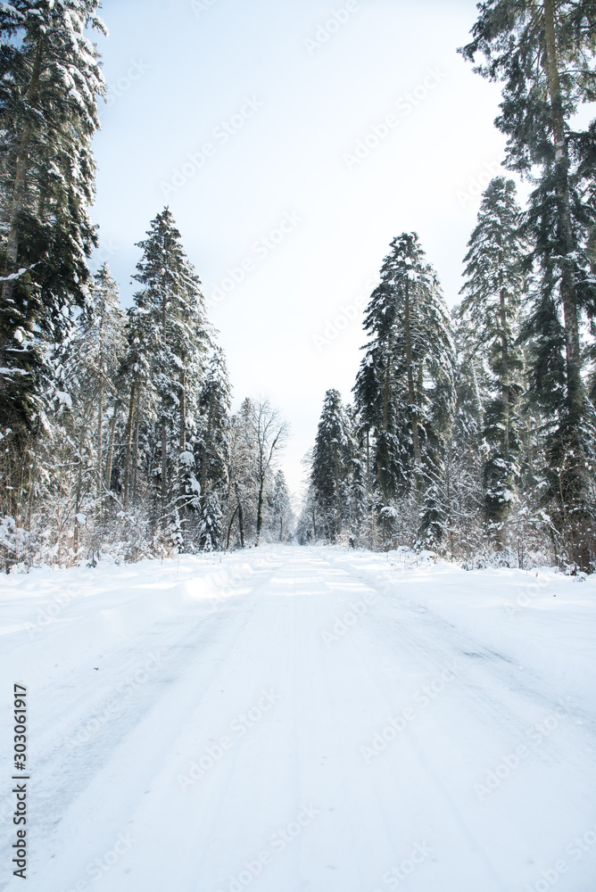 Obraz premium forêt avec neige en hiver jura poligny arbois