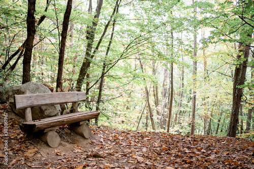 Bank im Wald