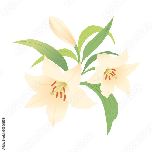 ユリの花
