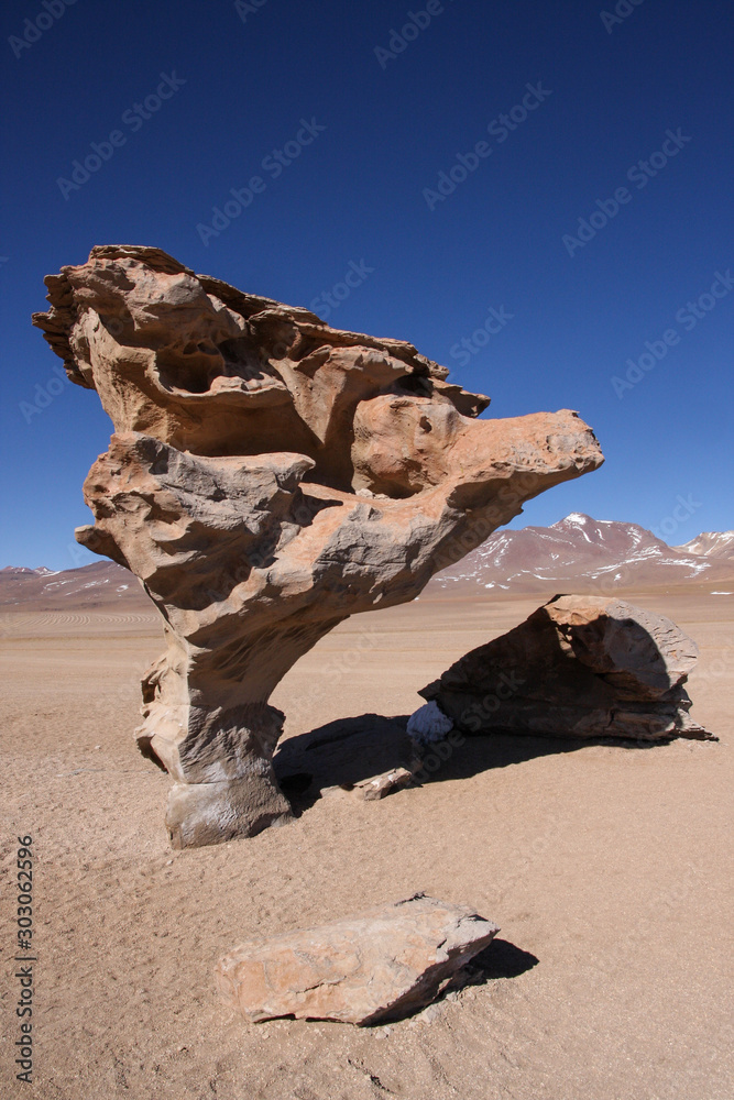 Arbol de Piedra (Stone Tree) in Salvador Dali Desert, Bolivia.