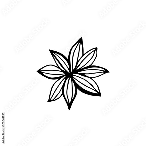 Star anise illustration hand draw vector. Winter spices.
