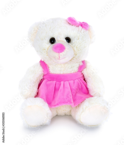 Cute white bear doll with pink skirt and ribbon isolated on white background with shadow reflection. Playful pinky bear sitting on white underlay. Teddy bear plush stuffed puppet toy.