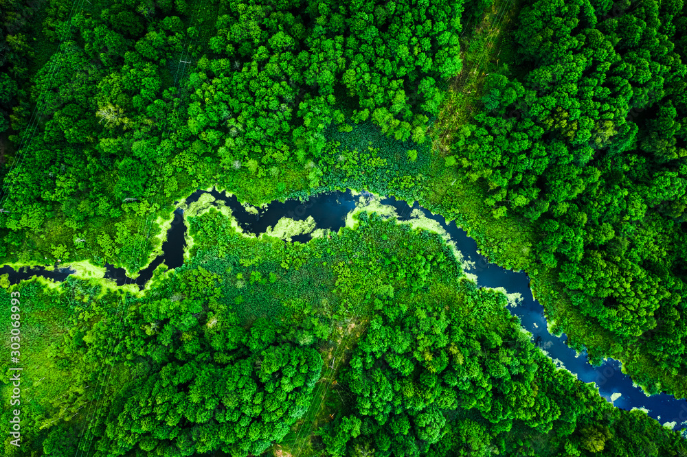 Fototapeta Zadziwiające kwitnące glony na zielonej rzece, widok z lotu ptaka