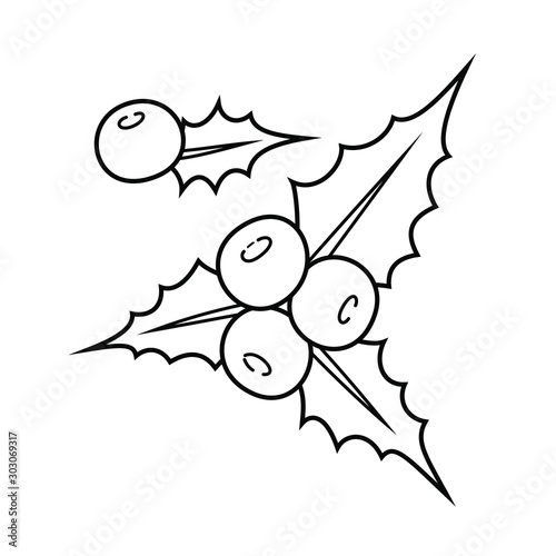 Christmas holly vector illustration, x mas elements, traditional plant berries with sharp leaves. new year symbol and icons isolated on simple flat background for decoration and print on greeting card
