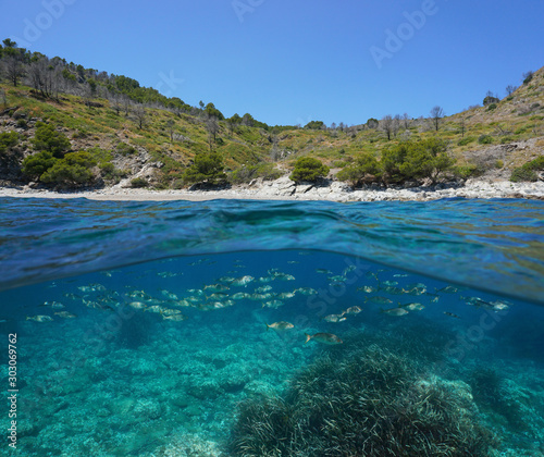 Spain Costa Brava, Mediterranean coast with a school of fish underwater, split view over and under sea surface, Roses, Cala Murtra, Catalonia © dam