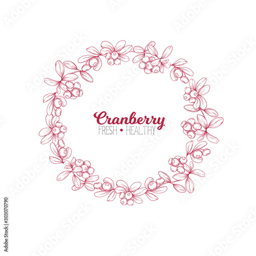Cranberry. Element for design. Good for product label. Colored vector illustration. Graphic drawing, engraving style. Vector illustration