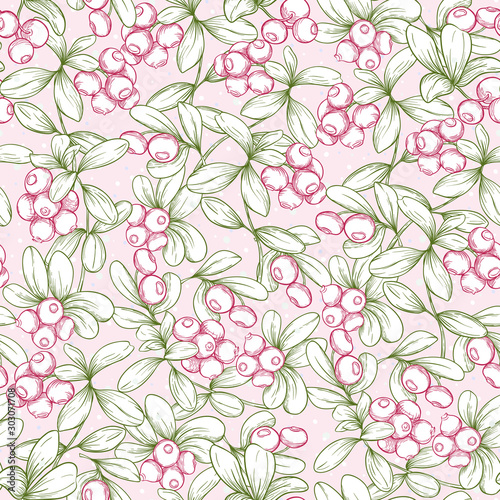 Cranberry and snow. Seamless pattern  background. Graphic drawing  engraving style. Vector illustration