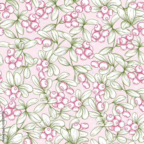 Cranberry and snow. Seamless pattern, background. Graphic drawing, engraving style. Vector illustration