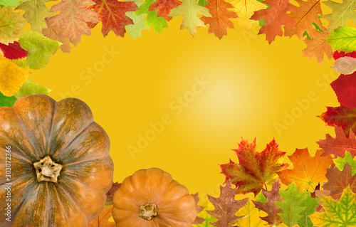 Pumpkins on yellow background with fall leaves frame