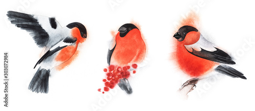 Set of three decorative elements. Bullfinch on fly. Birds fly and sit. Red winter fluffy bird. Christmas card. Hand drawn watercolor illustration on white background