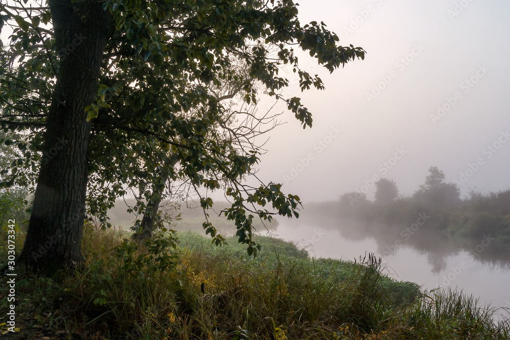 Dolina Górnej Narwi, Mglisty poranek, Narew, Podlasie, Polska Dolina Górnej Narwi, Mglisty poranek, Narew, Podlasie, Polska