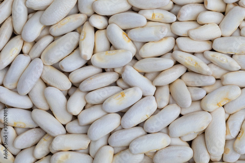 Texture of white beans (fabes) raw (legume) photo