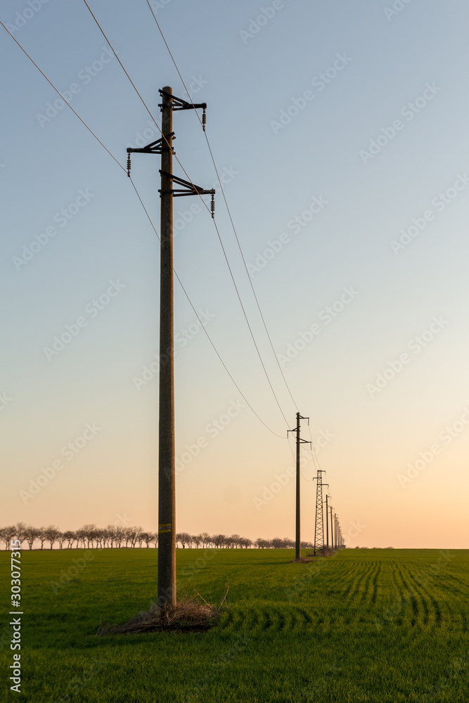 A line of electric poles with cables of electricity in a field with a forest in background in autumn during sunset.