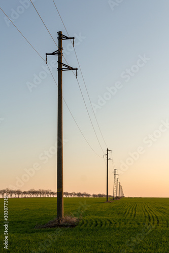 Obraz na płótnie A line of electric poles with cables of electricity in a field with a forest in background in autumn during sunset. w salonie