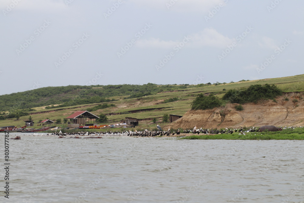 The shore of the Lake Edward in Uganda