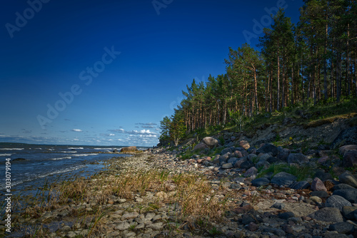 Stony coastline with forest in HDR