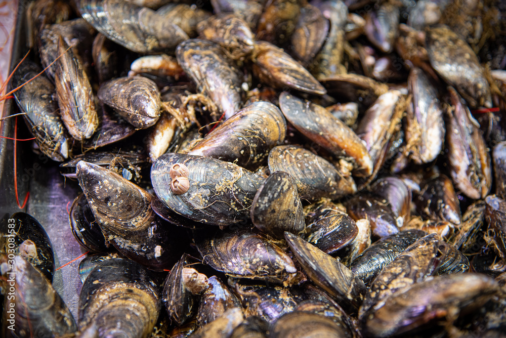 Fresh and healthy seafood with oyster shellfish on a plate. Fresh and healthy seafood with oyster shellfish on a plate.