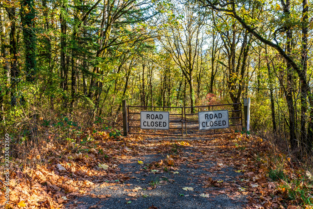Closed road in the autumn forest