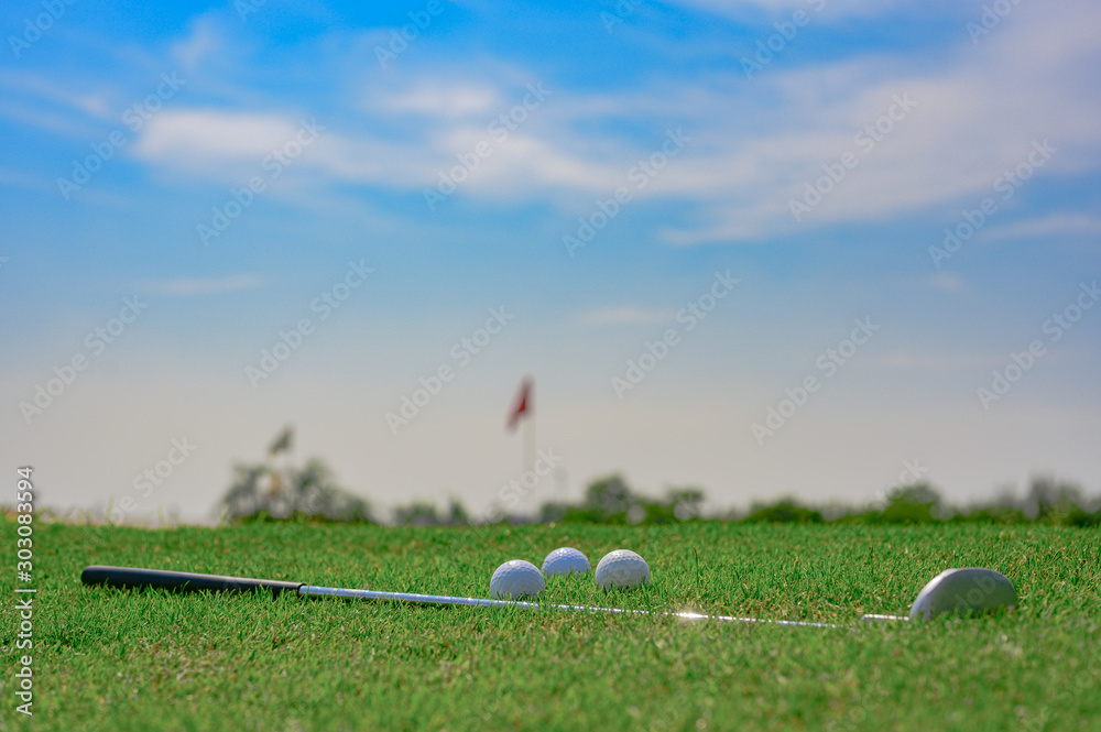 Fototapeta premium golf putter and golf balls laying on the green grass for golfer practice training