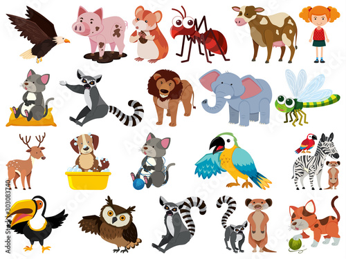 Set of isolated objects theme animals
