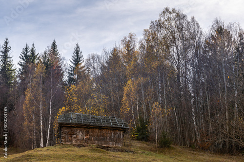 An Old Wooden Stable Surrounded by the Eternal Forest