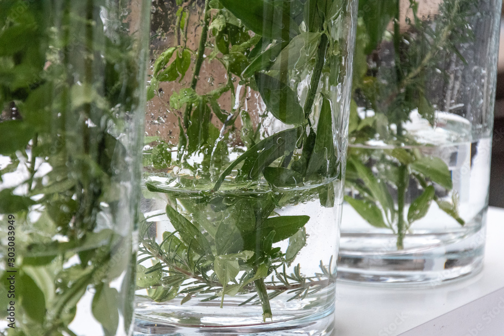 Base de jarrones con plantas en agua,decoración foto de Stock | Adobe Stock
