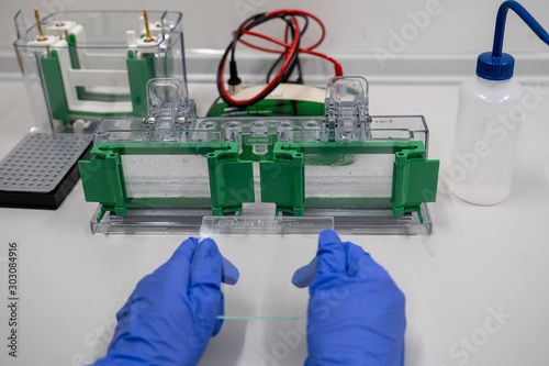 The general process preparation for protein levels detection is using western blot analysis. This method is involved in Protein separation by gel electrophoresis.