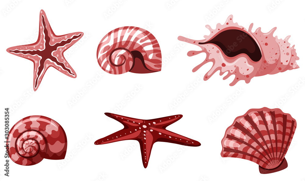 Set of isolated seashells in red color