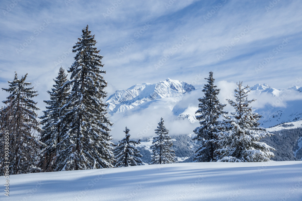 Majestic winter landscape with snowy fir trees. Winter postcard. Majestic winter landscape with snowy fir trees. Winter postcard.
