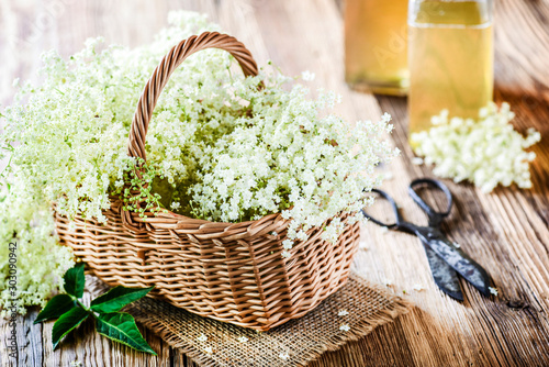 Elder flowers in basket and syrup on wooden table with rustic scissors..Herbs blossom for healthy life.