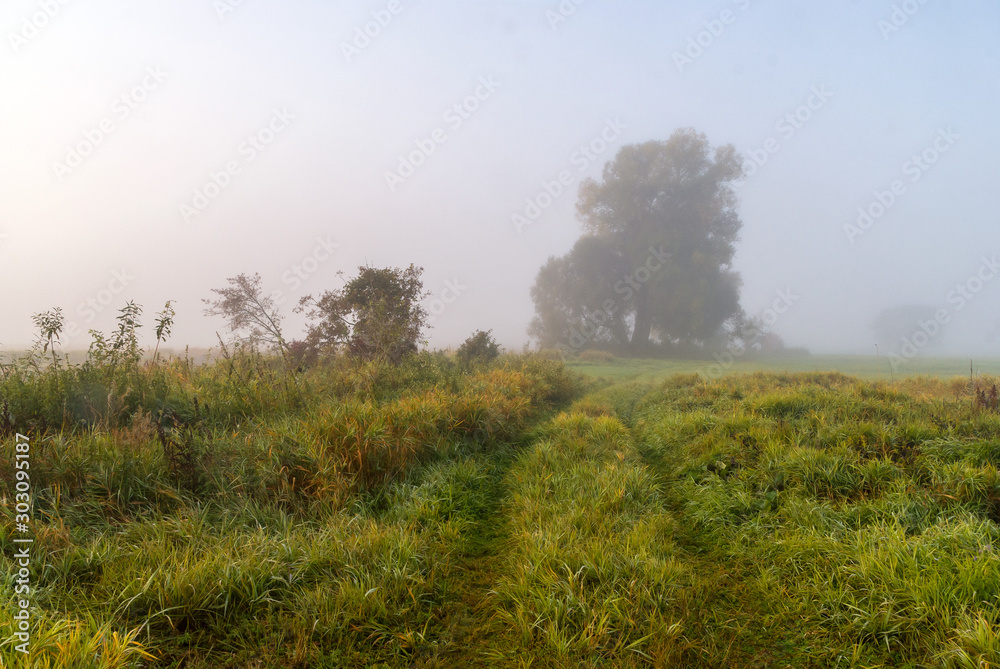 Dolina Górnej Narwi, Mglisty poranek, Narew, Podlasie, Polska Dolina Górnej Narwi, Mglisty poranek, Narew, Podlasie, Polska