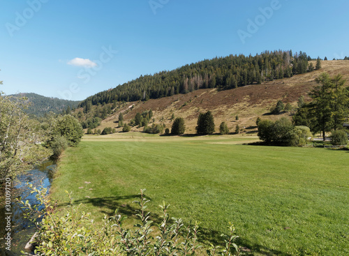 Romantic and pretty landscape of Black Forest in Germany. The valley of Menzenschwander Alb photo