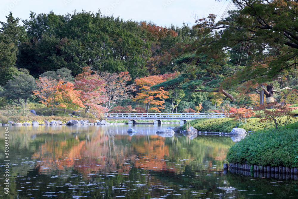 Autumn leaves shining in the pond-autumn Japanese garden