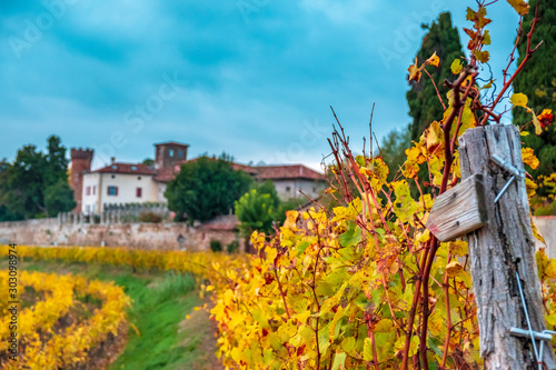 Autumn sunset in the vineyards of Collio Friulano