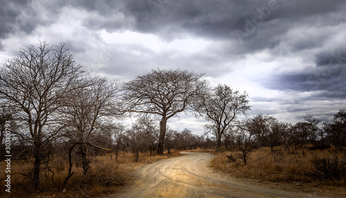 Landscapes of the Kruger National Park South Africa 