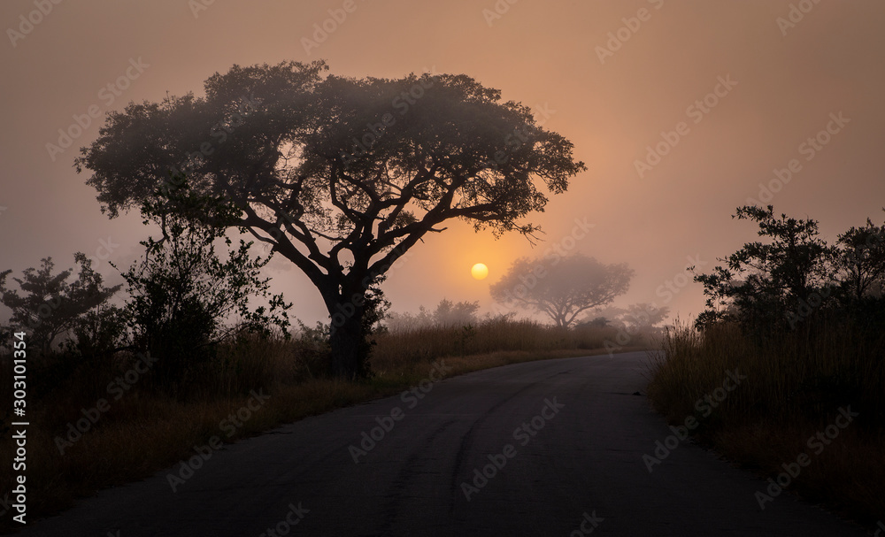 Landscapes of the Kruger National Park South Africa Landscapes of the Kruger National Park South Africa