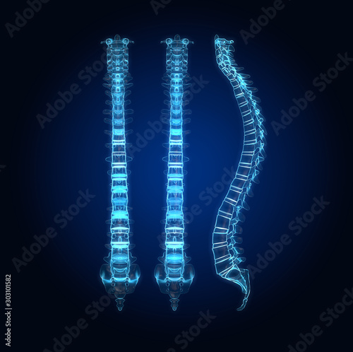 Human spine with intervertebral disks, medically 3D illustration photo