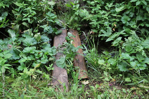 wooden planks laid across the stream