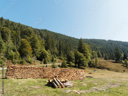 Landscape of Black Forest. Beautiful panorama in the valley of Menzenschwander Alb, along the hiking path Menzo's Wegle' around the moraine of Kluse and raised bog  photo