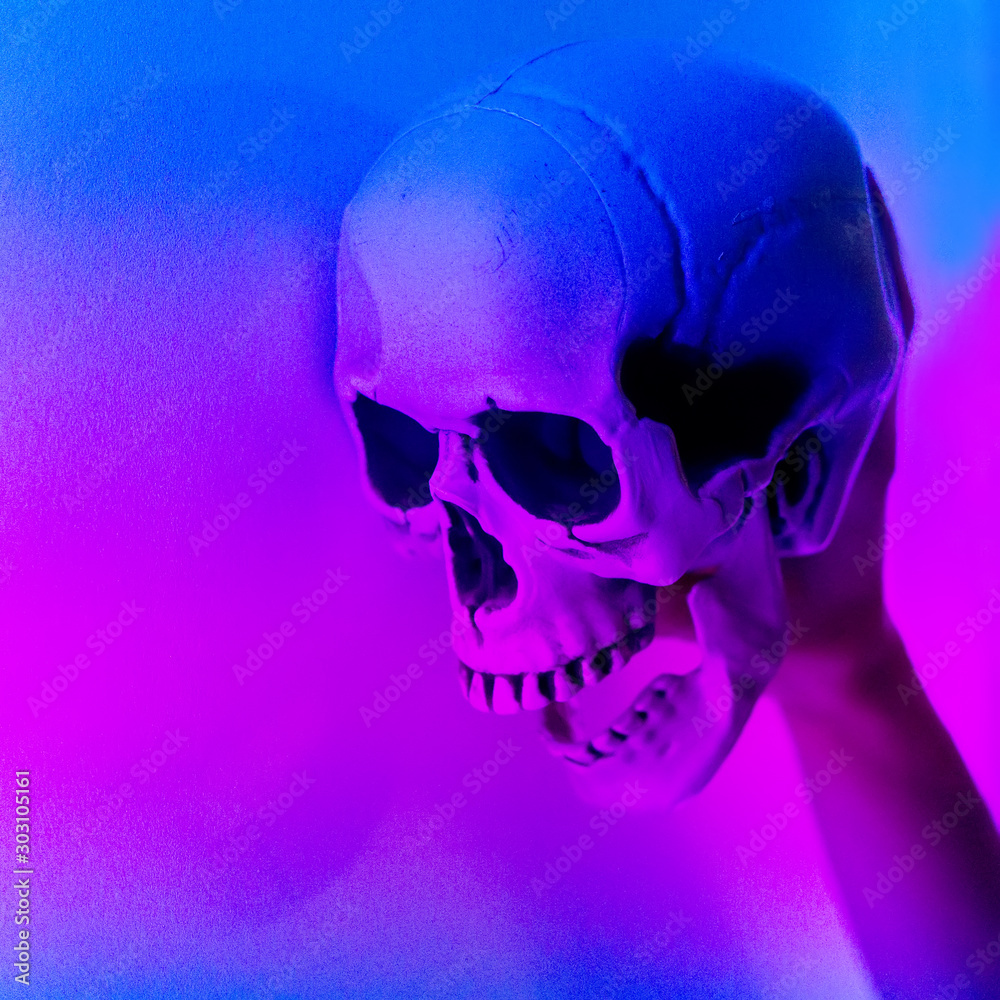 Human skull in neon light pink blue