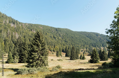 Landscape of Black Forest in Germany. Beautiful panorama in the valley of Menzenschwander Alb, along the hiking path Menzo's Wegle' around the moraine of Kluse and raised bog photo