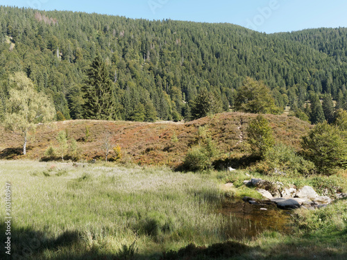 Landscape of Black Forest. Beautiful panorama in the valley of Menzenschwander Alb, along the hiking path Menzo's Wegle' around the moraine of Kluse and raised bog  © Marc