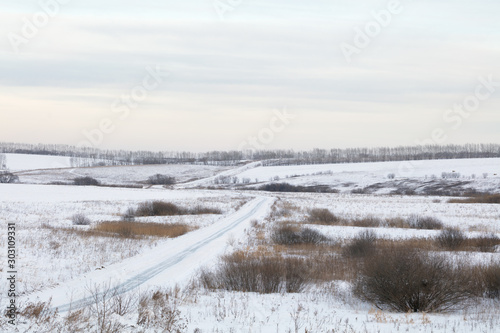 winter landscape with road