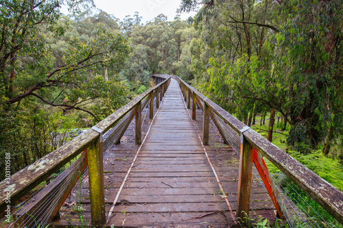 Fototapeta Naklejka Na Ścianę i Meble -  Noojee Trestle Rail Bridge in Victoria Australia